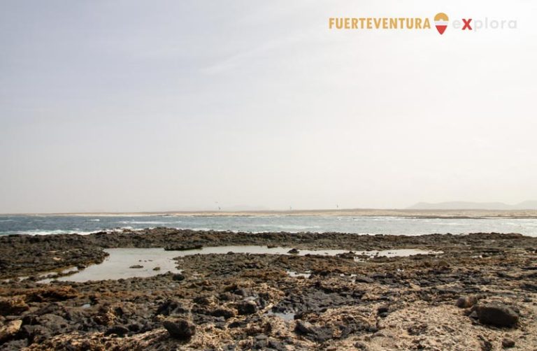 Ambiente costiero roccioso del faro di Faro del Toston