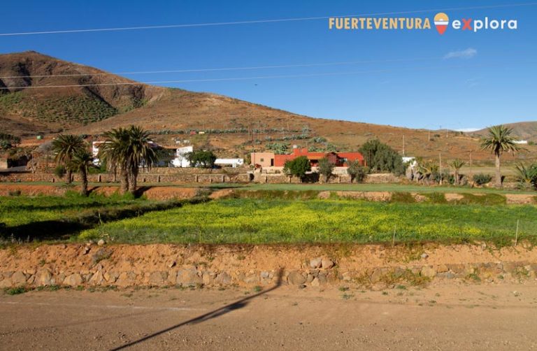 Case tra palme e paesaggio rurale a Vega de Río Palmas