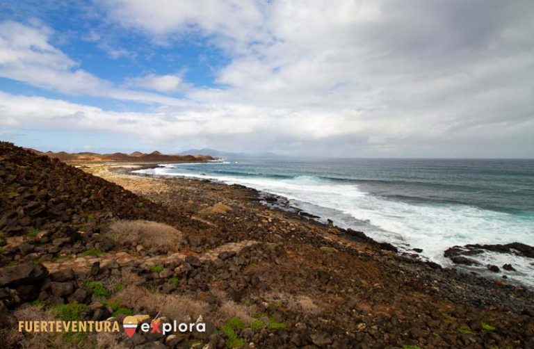 Costa di Isola de Lobos