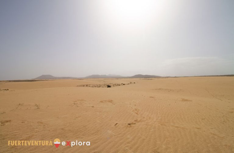 Dune di Corralejo sotto il sole cocente