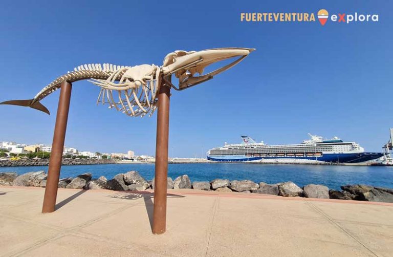 Esqueleto de ballena rorcual en paseo de Puerto del Rosario