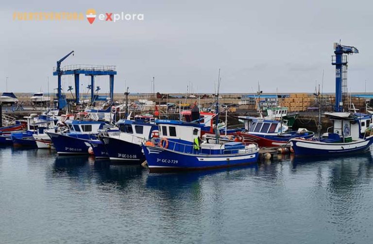 Gruppo di barche da pesca nel porto di Gran Tarajal