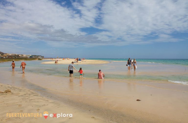 Lagune a Playa del Matorral