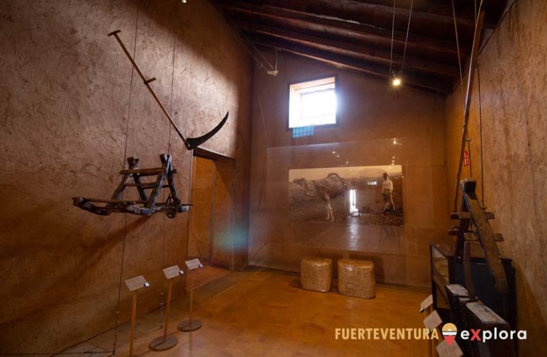 Monturas de camello y guadaña en Museo del Grano La Cilla