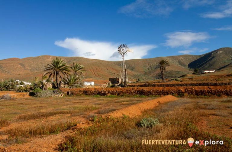 Paesaggio di Vega de Río Palmas con palme e un mulino a vento.