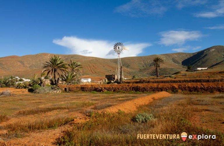 Paisaje de Vega de Río Palmas con palmeras y molino de viento