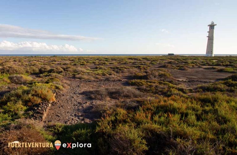 Palude salmastra di Jandia accanto al faro