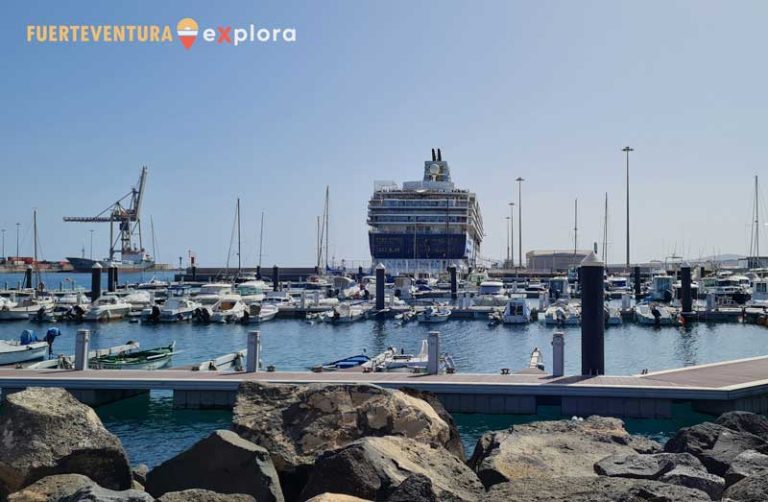 Porto turistico con pontili e barche