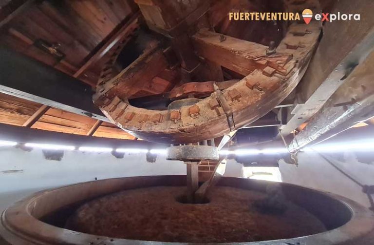 Rueda dentada con eje en interior de Molino de Antigua