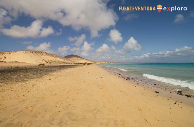 Vista di Playa del Salmo