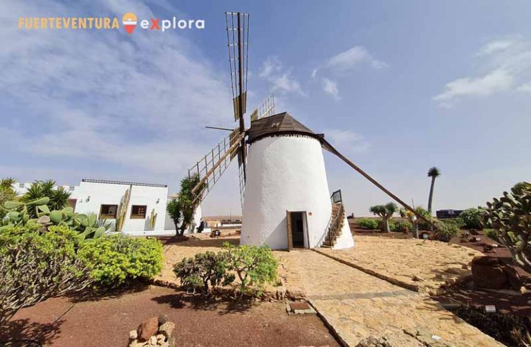 Vista general de Molino de Antigua con vegetación