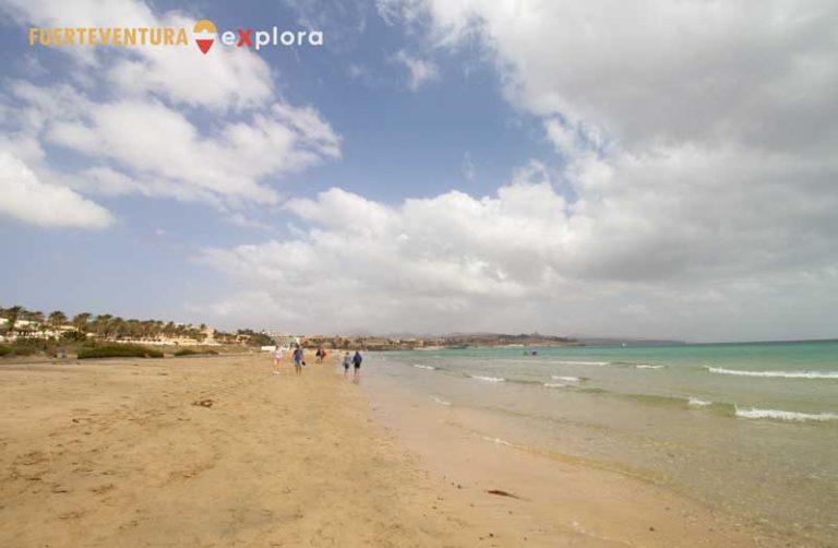 Vista general de Playa de Costa Calma