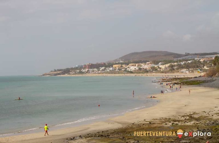 Vista general de Playa en la localidad de Costa Calma