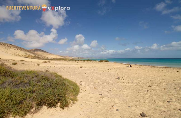 Vista generale di Playa del Salmo