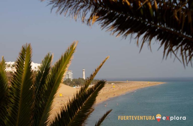 Vista tra le palme di Playa del Matorral dal Punto Panoramico