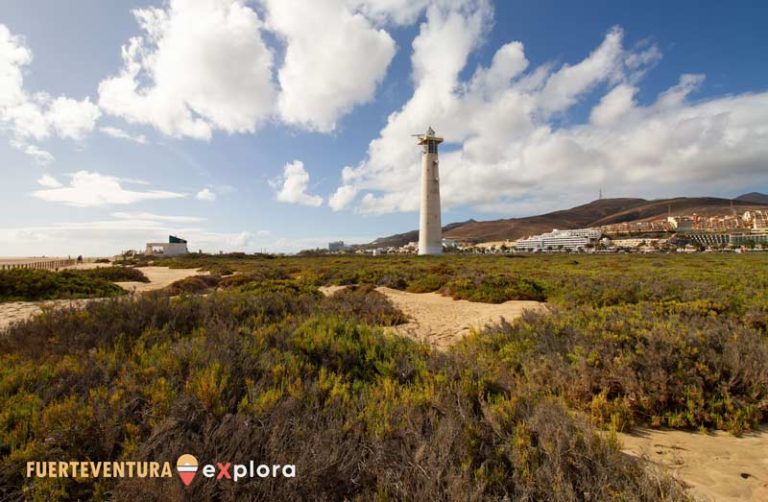 Zona umida della palude salmastra di Jandia accanto al faro